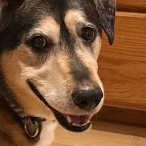 Meet your Posher, Nancy